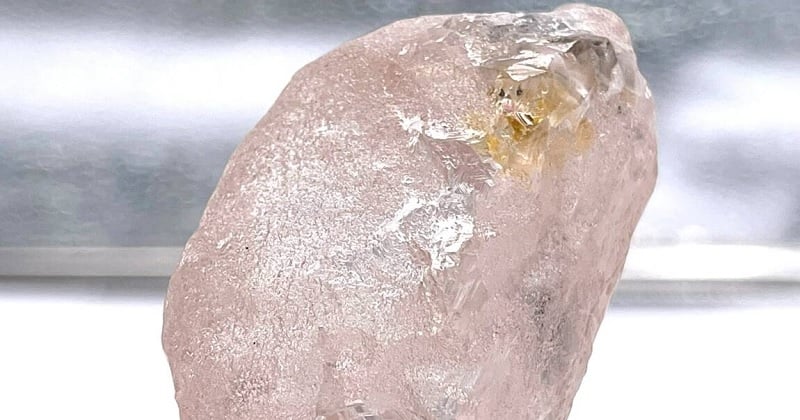 Voici le plus gros diamant découvert en 300 ans, un trésor rose pur d'une valeur incroyable