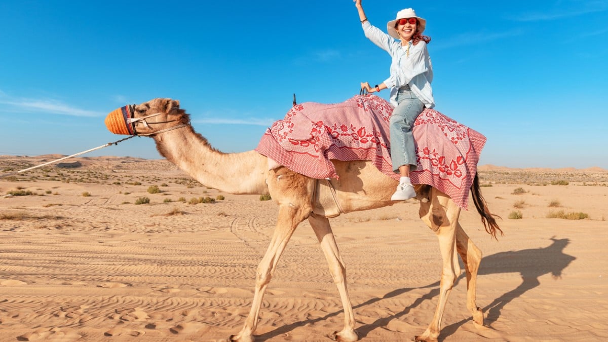 Tourisme animalier : la triste réalité qui se cache derrière les photos des vacanciers avec les animaux 