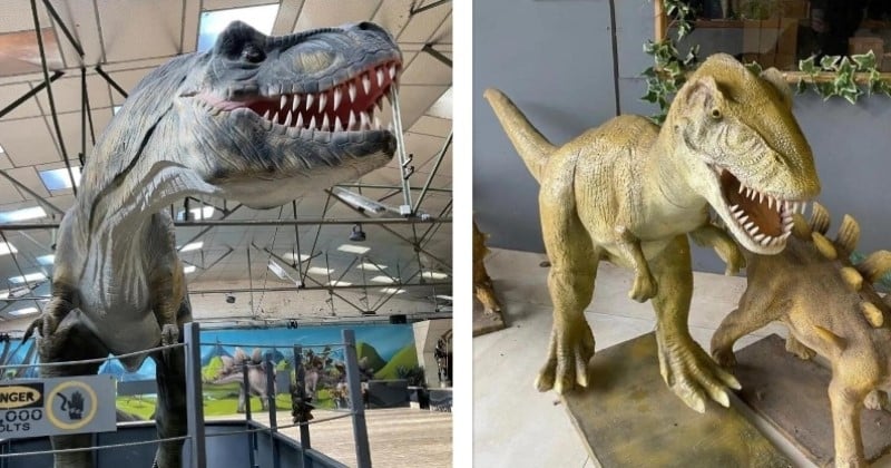 Vous avez toujours rêvé d'avoir un dinosaure à la maison ? Ce parc à thème revend ses statues grandeur nature
