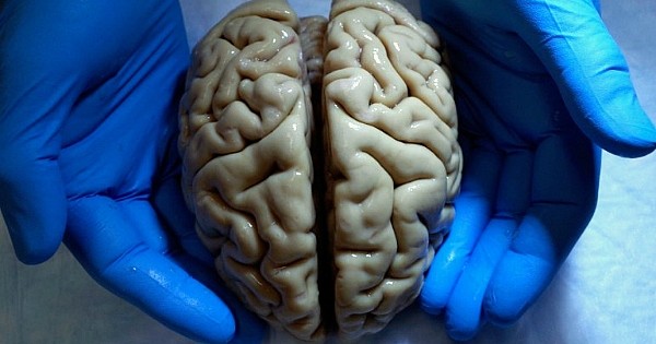 10 choses complètement incroyables sur les capacités folles de notre cerveau !