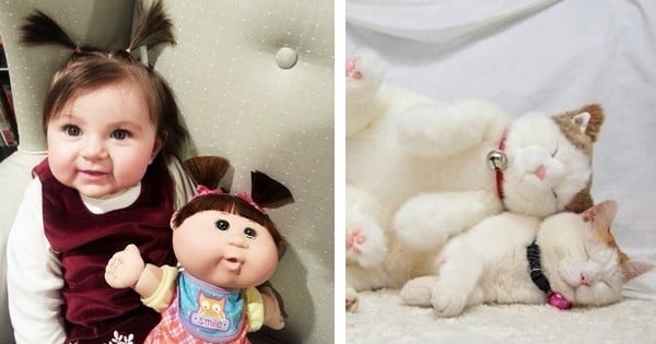 30 enfants et animaux qui ressemblent EXACTEMENT à leurs jouets fétiches !