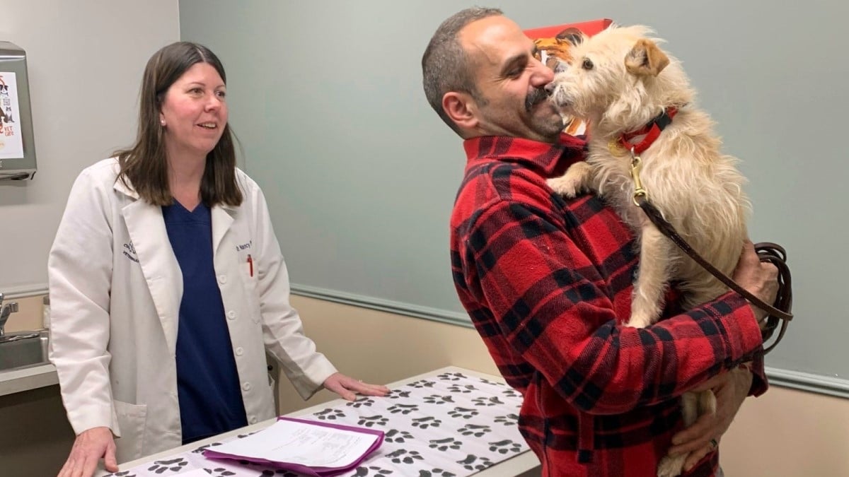 Disparue il y a neuf mois, une chienne a été retrouvée à 3 770 km de chez elle