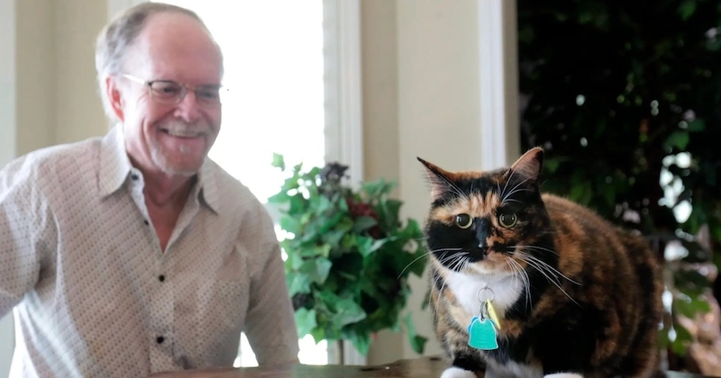 Cet homme de 68 ans a échappé à un cambriolage grâce à son chat qui a fait fuir les malfaiteurs