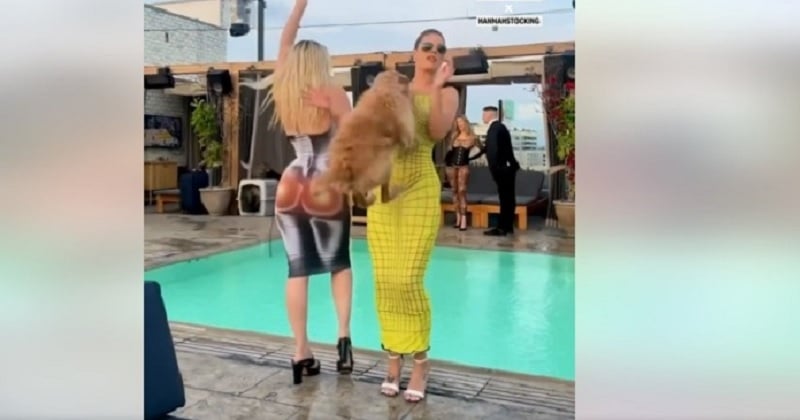 Alors qu'elle danse face à la caméra, un chien... bondit sur elle et la pousse dans la piscine