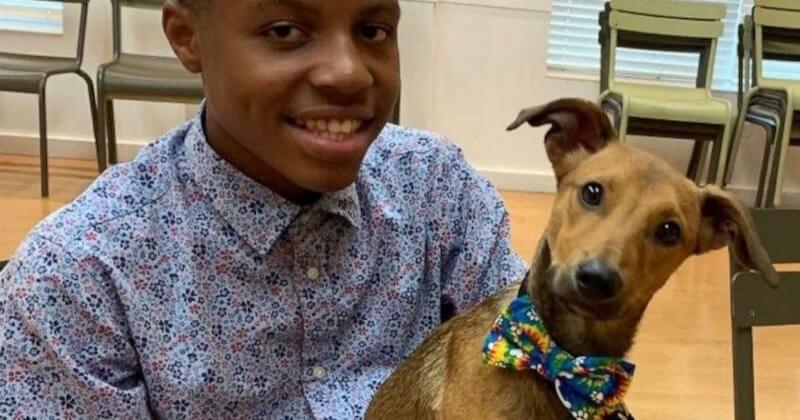 Un jeune de garçon 13 ans fabrique des noeuds papillon pour aider les chiens à trouver une nouvelle famille