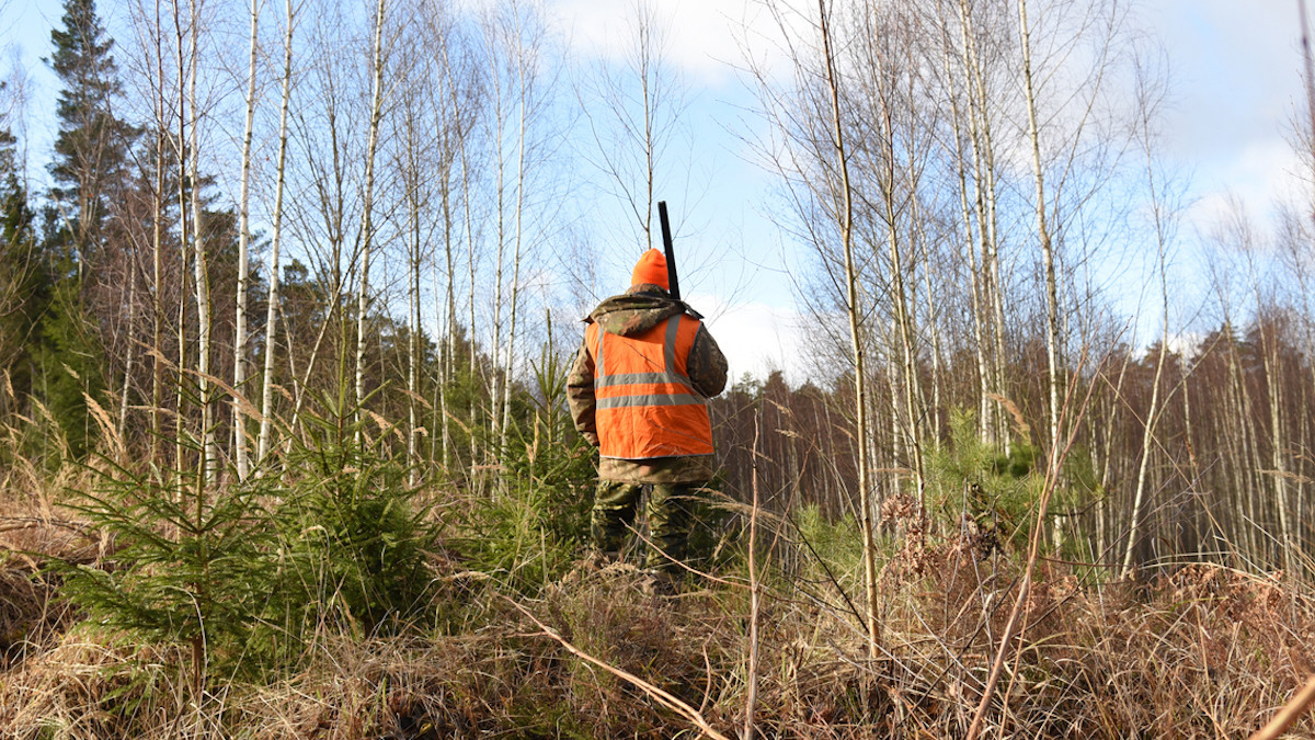 Un chasseur tire sur son ami après l'avoir confondu avec... du gibier