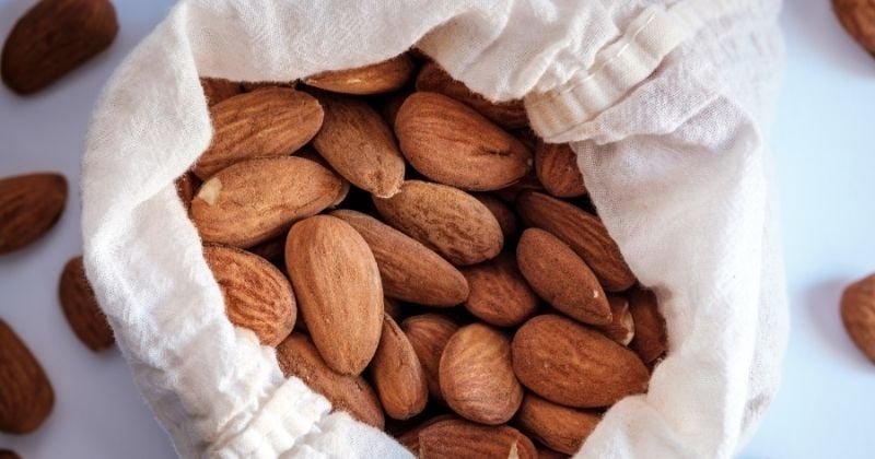 Santé : 10 bonnes raisons de consommer des amandes