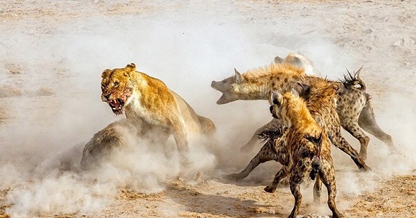 Ces photographies du National Geographic, d'une grande beauté, sont une ode à la splendeur de la planète Terre