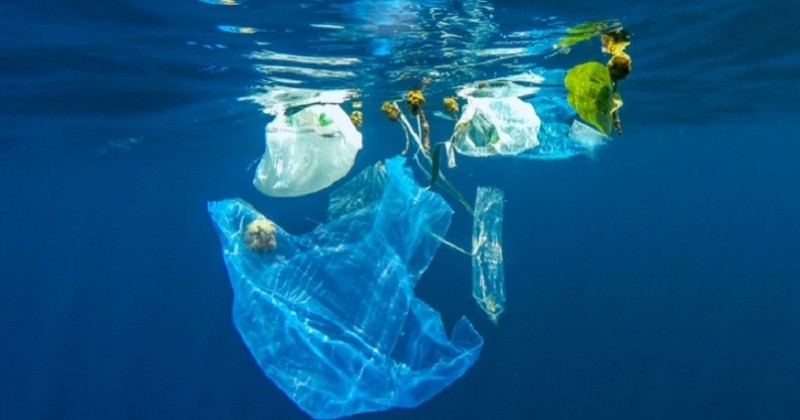 La première compétition européenne de ramassage de déchets organisée à Marseille le 30 mai prochain
