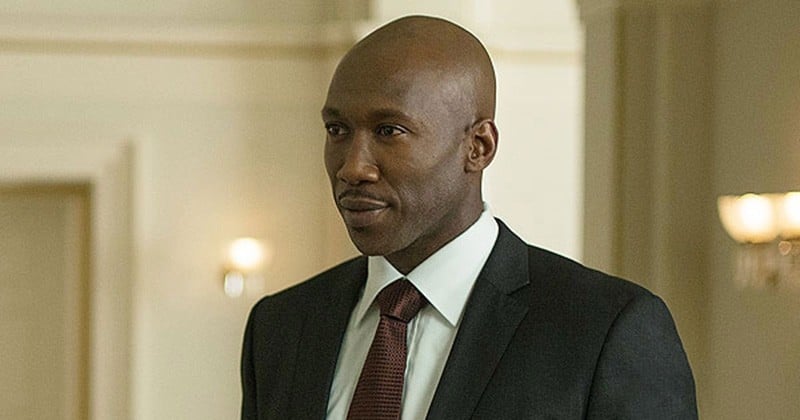 HBO a renouvelé « True Detective » pour une 3e saison avec Mahershala Ali au casting 