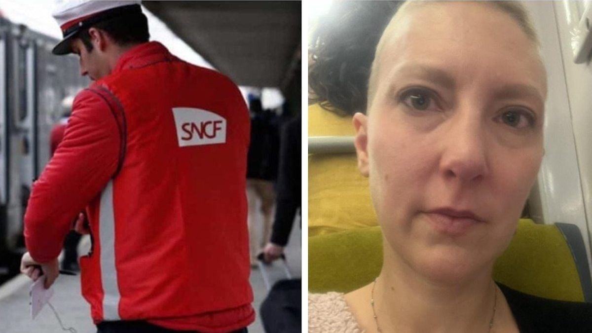 « Honte à la SNCF » : elle prend le train pour sa chimiothérapie... et reçoit une amende pour une motif scandaleux