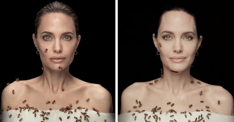 Women for Bees : Angelina Jolie recouverte d'abeilles pour dénoncer leur disparition