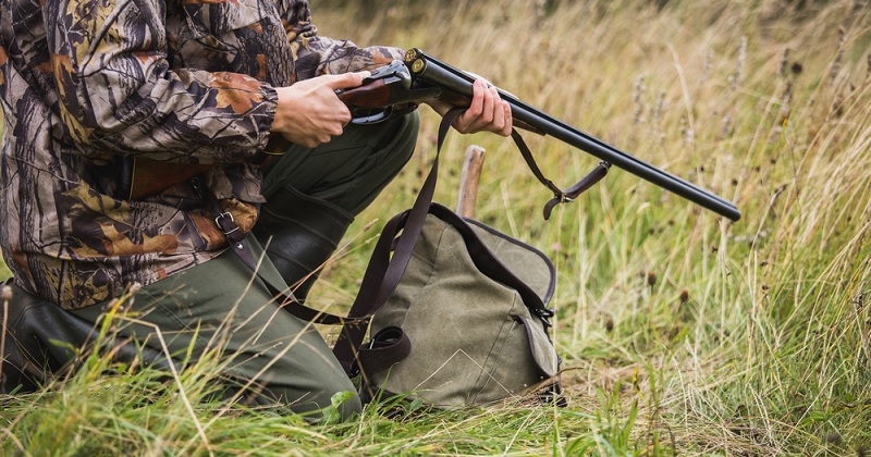 Rémi Gaillard, Aymeric Caron et d'autres personnalités lancent une pétition contre la chasse en enclos	