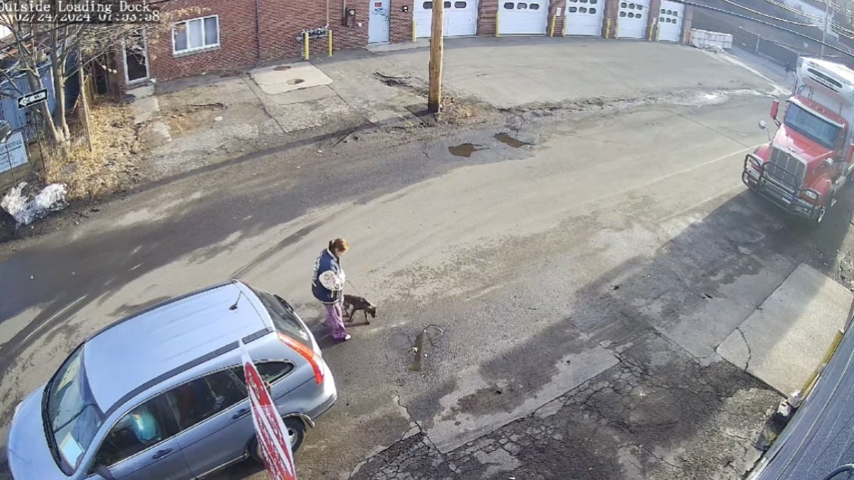 VIDÉO - elle abandonne son chien en pleine rue sans savoir qu'elle est filmée... et se prend un retour de karma immédiat