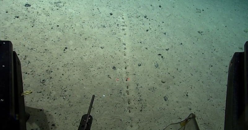 Des scientifiques ont découvert une mystérieuse et fascinante ligne au fond de l'océan Atlantique