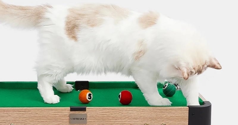 Ce billard miniature pour votre chat le rendra complètement gaga (et vous aussi)