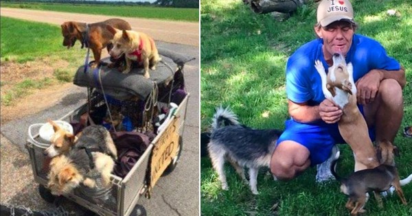 Un homme sans abri recueille tous les chiens errants qu'il croise sur son chemin ! Un beau geste qui montre que la solidarité est partout et accessible à tous !