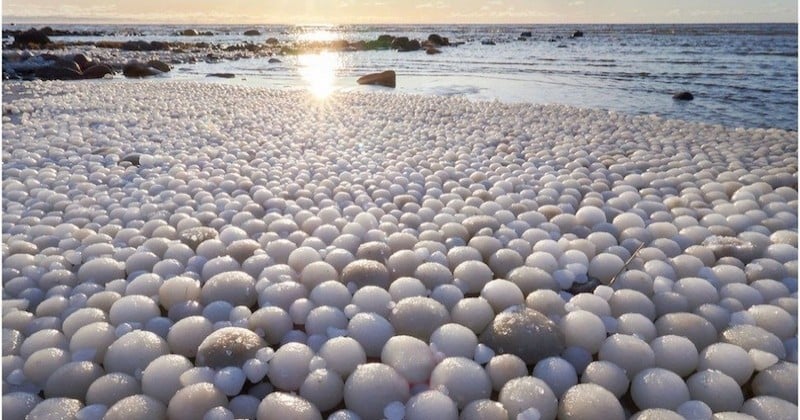 En Finlande, des «oeufs de glace» recouvrent entièrement une plage suite à un phénomène très rare