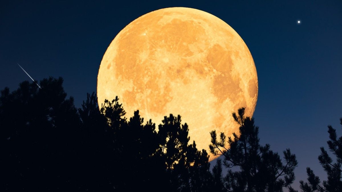 Jamais vu depuis 43 ans ! Ne ratez pas la Super Lune du Castor qui va illuminer le ciel aujourd'hui