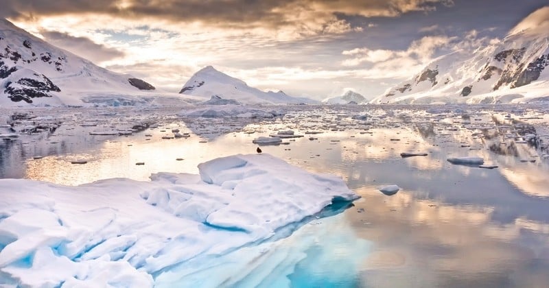 Un nombre inquiétant de particules microplastiques par litre d'eau gelée dans l'Arctique mis en lumière par une récente étude 