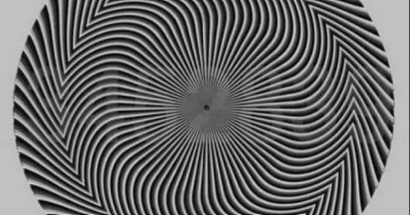 Seules peu de personnes trouvent la suite de chiffres qui se cache dans cette illusion d'optique