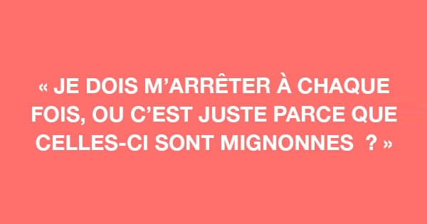 25 perles de moniteurs d'auto-école à mourir de rire : la 16, fallait la sortir, vraiment !