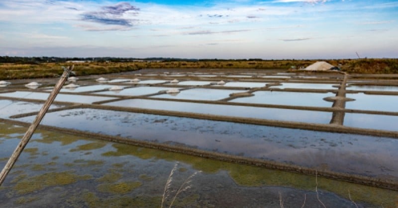 Loire-Atlantique : un dimanche placé sous le signe de l'étrange...