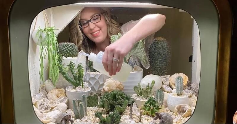 Possédant plus de 150 plantes chez elle, elle crée un terrarium pour ses cactus dans une télé vintage