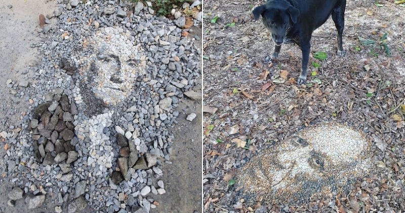 Avec de simples pierres, cet artiste réalise des portraits exceptionnels à même le sol