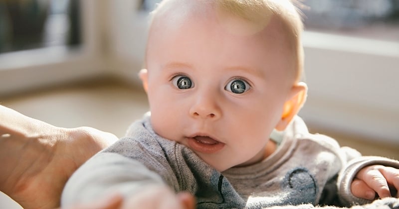 Comment les bébés voient le monde ? Des chercheurs lyonnais ont percé le mystère