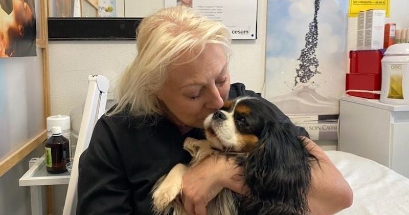 Disparue depuis le 13 février, sa chienne Shakira est retrouvée saine et sauve