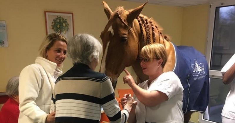 Ce cheval thérapeute nommé Peyo rend visite aux résidents de l'Ehpad de Dijon pour leur donner un peu de bonheur
