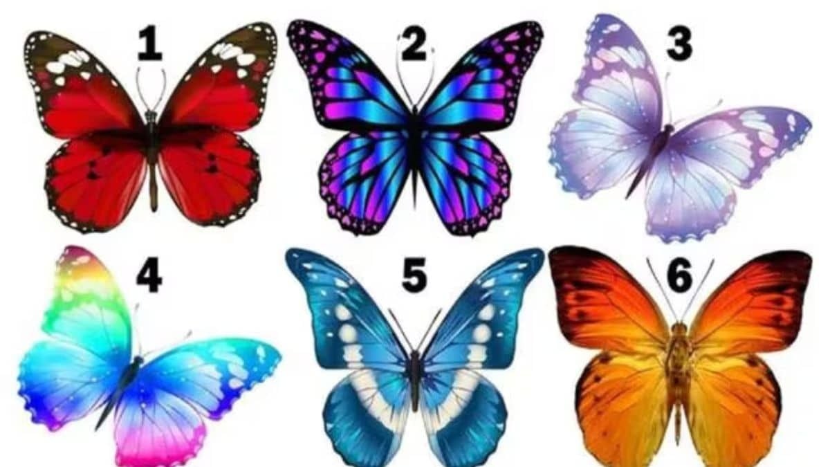 Le papillon que vous choisissez parmi ces 6 spécimens révèle votre personnalité cachée