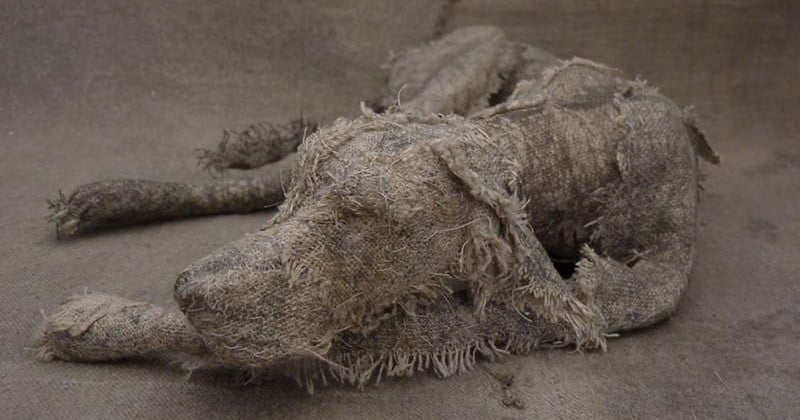 Une artiste fait prendre vie à de vieux tissus en leur donnant l'allure de chiens attendrissants