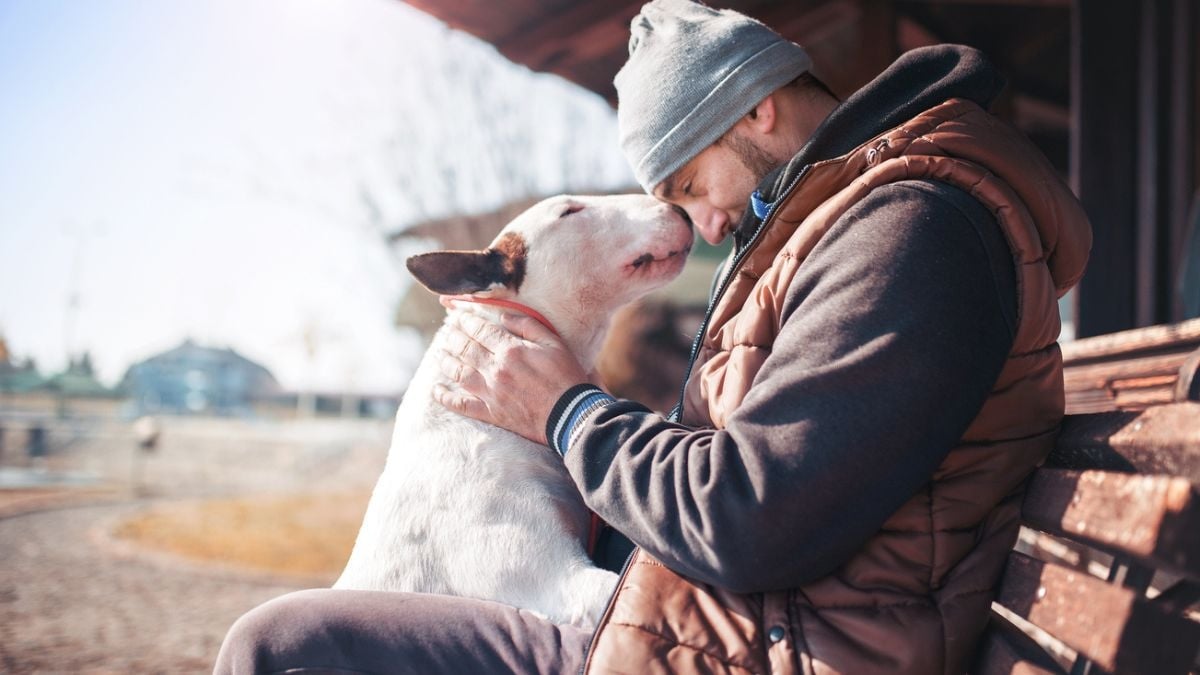 Cette maladie incurable transmise par les chiens fait des ravages et peut infecter les humains