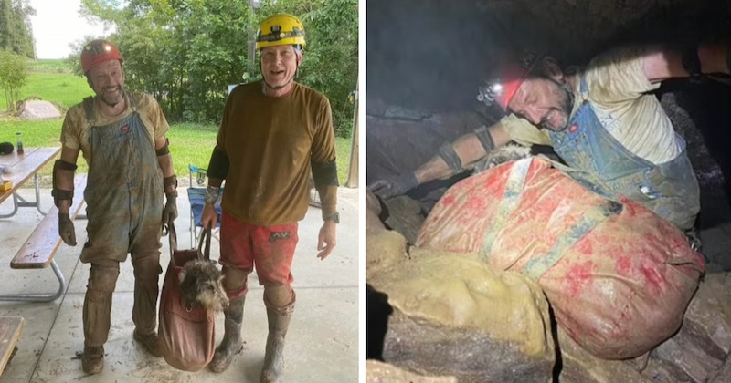 Ces deux spéléologues retrouvent par hasard une chienne coincée dans une grotte depuis 2 mois