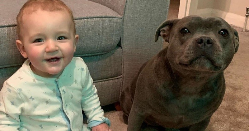 Scarica Gratis Images Bebe actualisé salutations