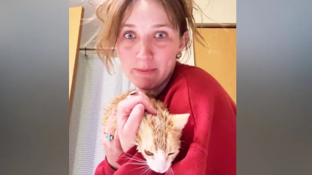 Capture d'écran TikTok 