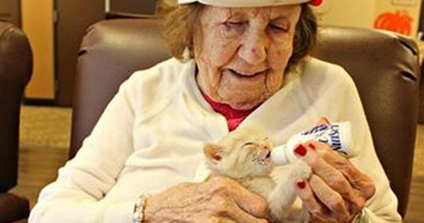 Cette maison de retraite a lancé une collaboration avec un refuge pour animaux pour que les patients atteints d'Alzheimer s'occupent de chatons abandonnés... Adorable !