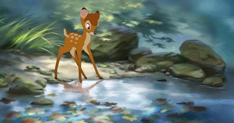 Un braconnier récidiviste condamné à regarder Bambi une fois par mois en prison