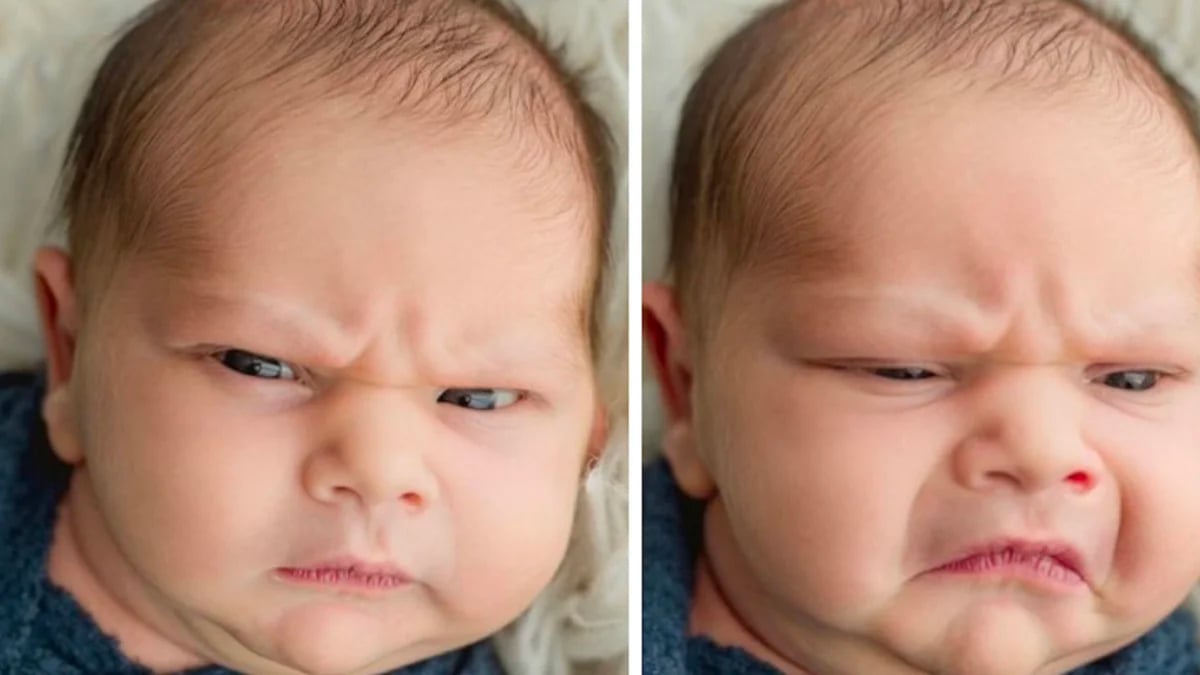 Ce bébé a l'air grincheux pendant toute la séance photo, les clichés font hurler de rire les internautes