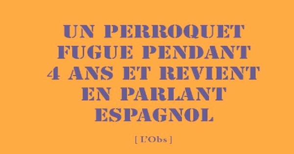 Découvrez les titres de presse les plus drôles de l'année 2015 ! C'est excellent !