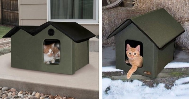 Cette petite maison chauffée permet aux chats de s'abriter pendant l'hiver, tout en restant à l'extérieur