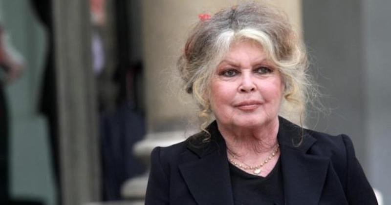 Incendie dans le var : Brigitte Bardot demande au préfet « une année blanche de la chasse »