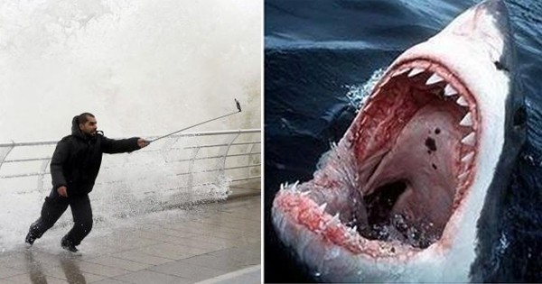 En 2015, le selfie fait plus de morts que les attaques de requins ! 