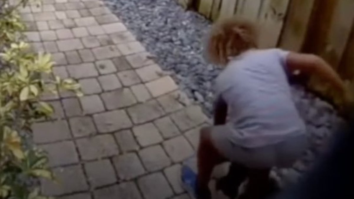 Un enfant piétine à mort un canard, la police offre 5 000 dollars pour le retrouver