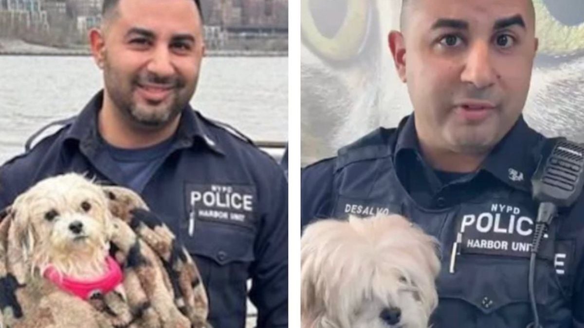 Un policier sauve un chien tombé à l'eau et décide l'adopter pour lui offrir un abri pour la vie