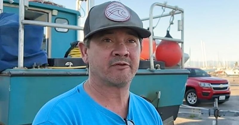 Tombé de son bateau au large, un plongeur voit un phoque lui venir en aide pour nager 5 heures jusqu'à la terre ferme