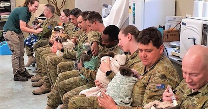 Au moment de leur pause, des soldats nourrissent des koalas dans un parc en Australie	