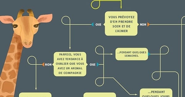 Cette petite infographie aidera les plus indécis à choisir l'animal de compagnie qui leur correspond ! 